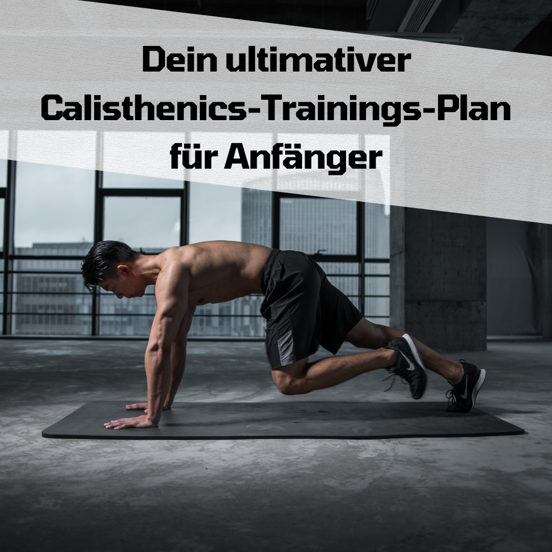 Dein ultimativer Calisthenics-Trainings-Plan für Anfänger als PDF-Download